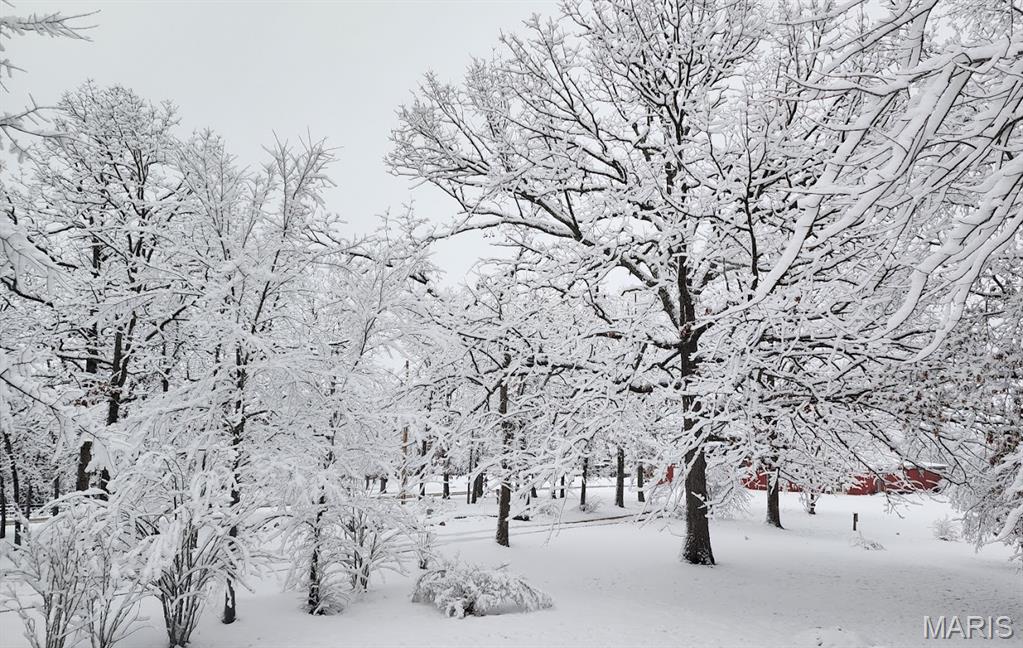 2066 State Rd Jj Stoutland, MO 65567 - Photo 8 of 10