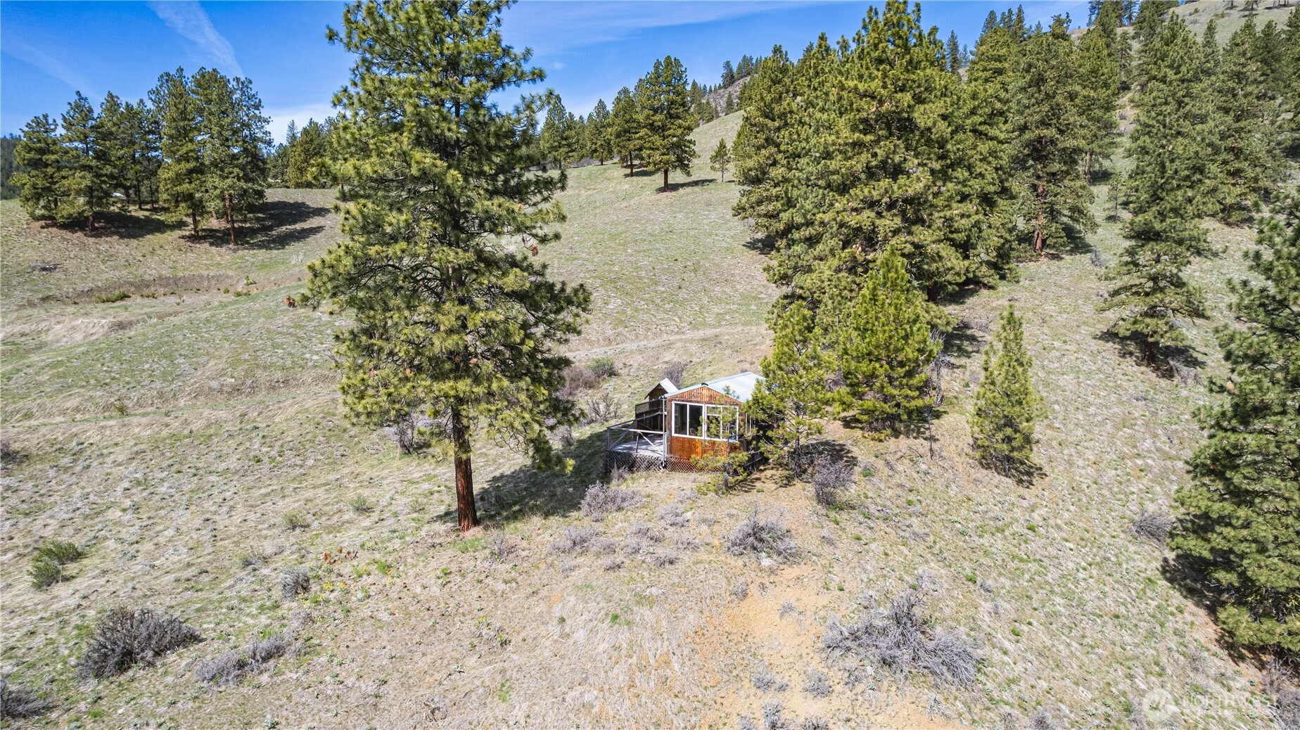 9640 Nahahum Canyon Road Cashmere, WA 98815 - Photo 11 of 25 a view of a yard with a tree