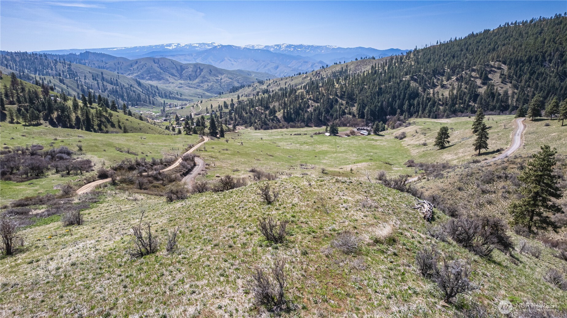 9640 Nahahum Canyon Road Cashmere, WA 98815 - Photo 18 of 25 a view of a lush green field with mountains in the background