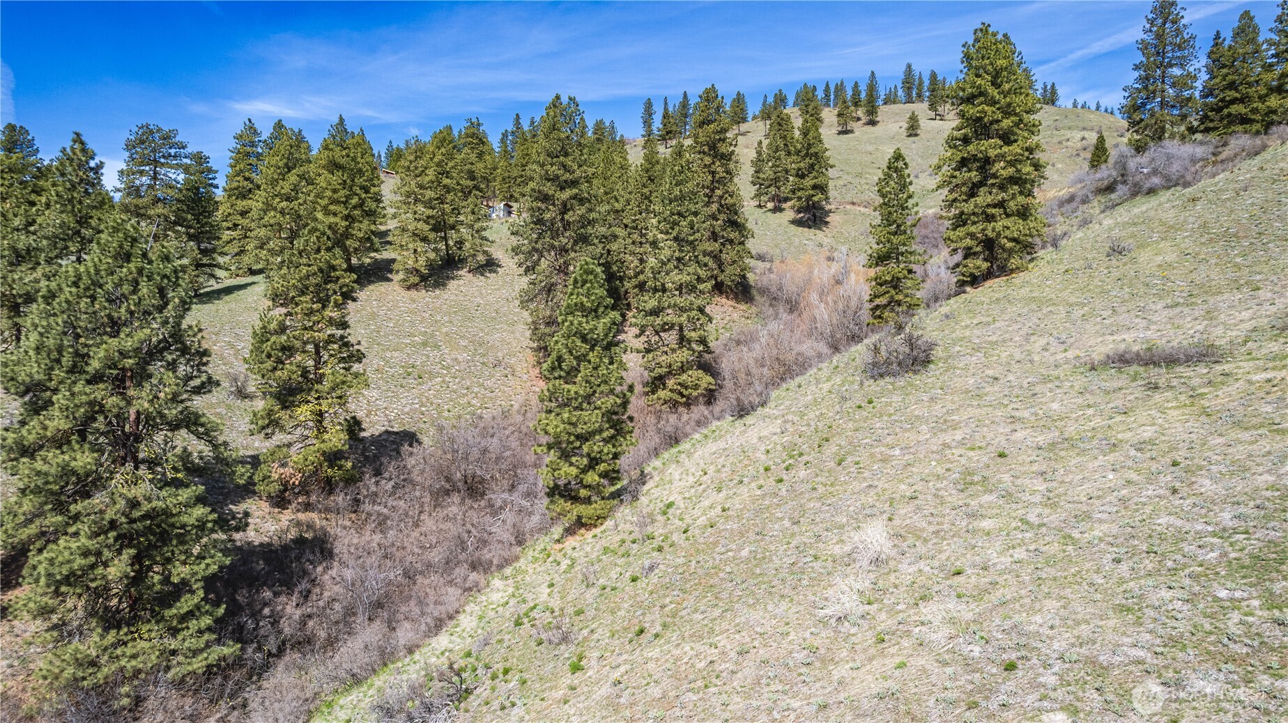 9640 Nahahum Canyon Road Cashmere, WA 98815 - Photo 21 of 25 a view of a yard with mountain view