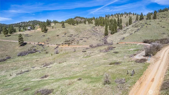 a view of a dry field with trees in the background