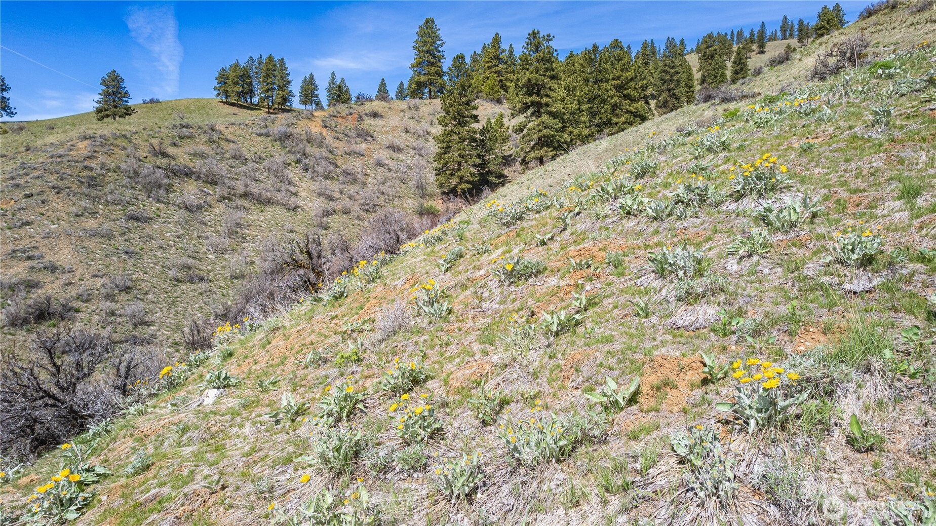 9640 Nahahum Canyon Road Cashmere, WA 98815 - Photo 4 of 25 a view of a snow on the top of a mountain