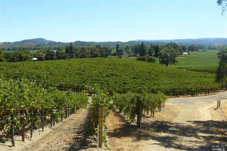 1430 Geysers Road, Unit LOT 2 Geyserville, CA 95441 - Photo 1 of 1 Gallery Image 1