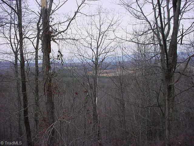 0 Mount Herman Church Road Mount Airy, NC 27030 - Photo 2 of 6 Other. View of the Blue Ridge from Mount Herman Church Rd.