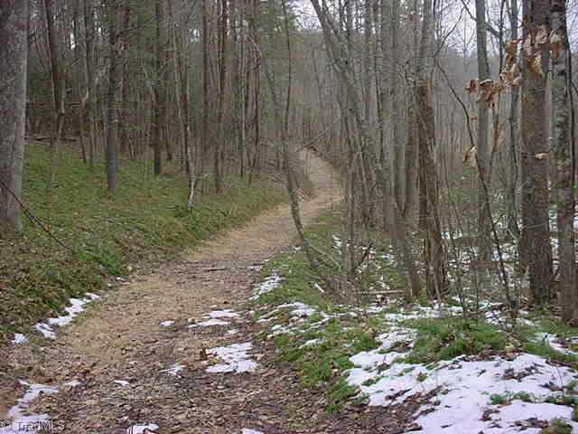 0 Mount Herman Church Road Mount Airy, NC 27030 - Photo 3 of 6 Other. Road leading through the property.