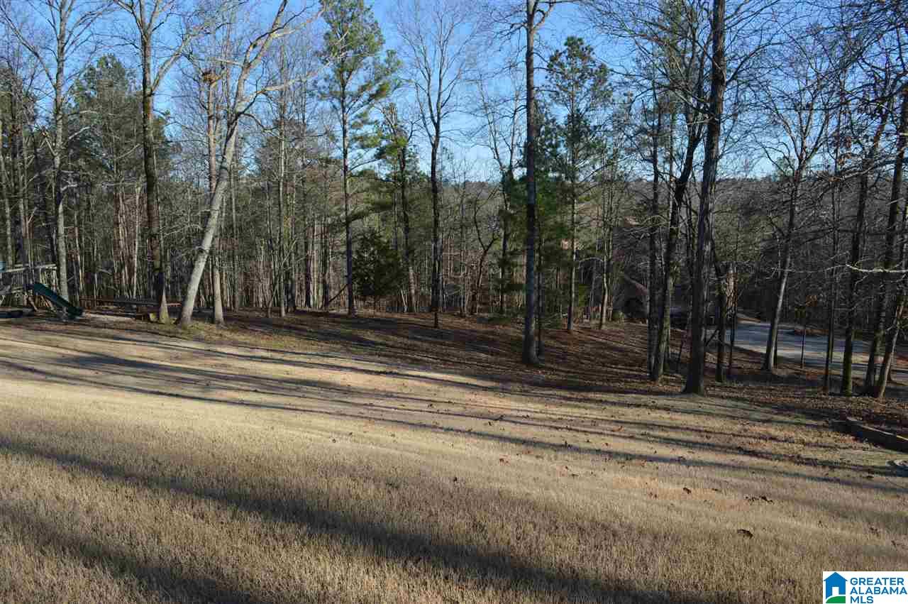 5648 Ridgeview Drive Trussville, AL 35173 - Photo 35 of 37