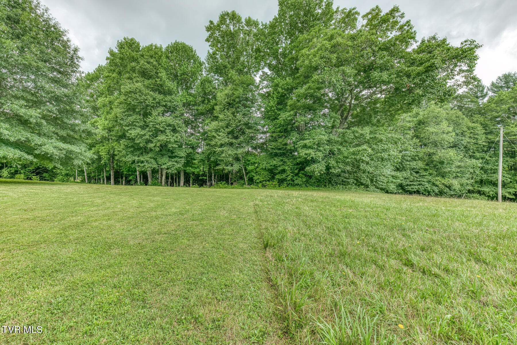 1678 Sluder Road Shady Valley, TN 37688 - Photo 89 of 110 1678 Sluder Rd-89