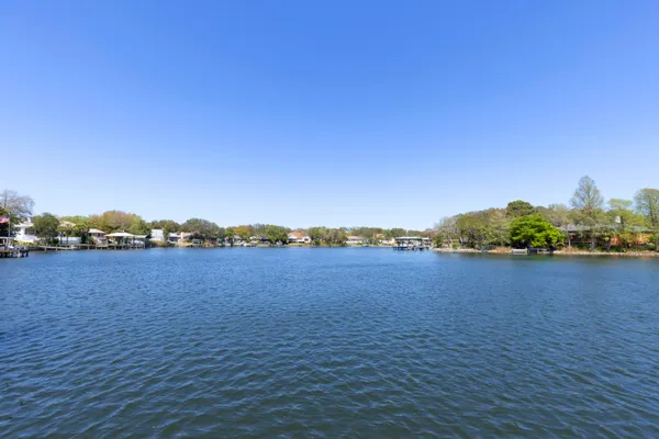 a view of a white house with a large tree and plants
