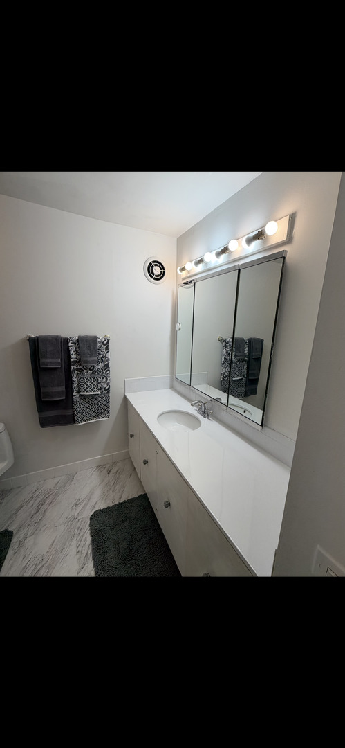 6101 North Sheridan Road, Unit 4A Chicago, IL 60660 - Photo 15 of 45 a bathroom with a sink and a mirror