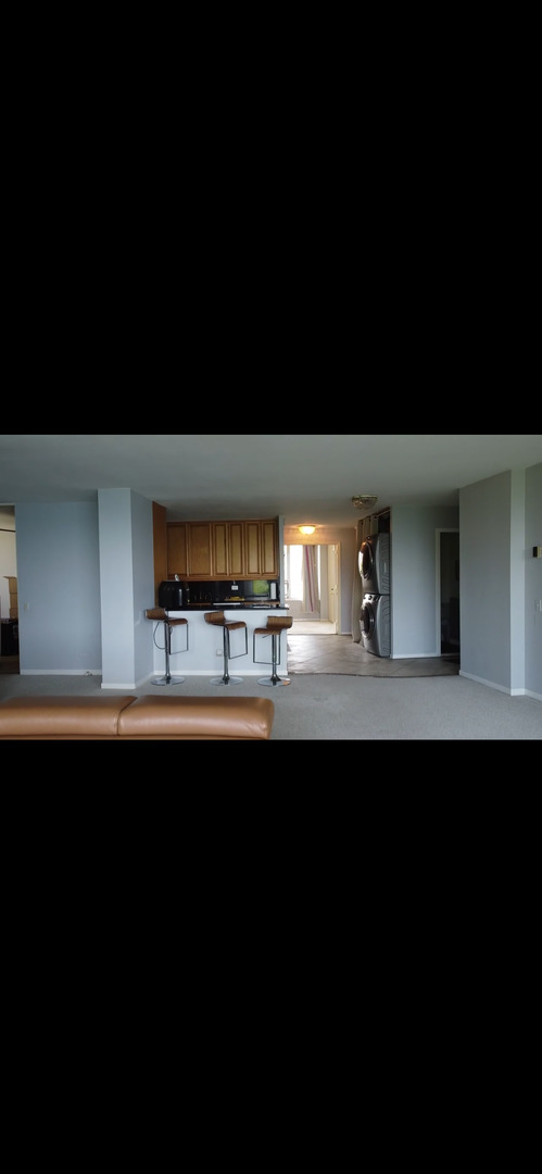6101 North Sheridan Road, Unit 4A Chicago, IL 60660 - Photo 25 of 45