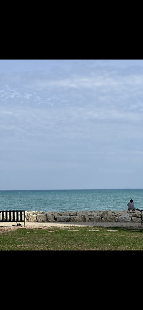 6101 North Sheridan Road, Unit 4A Chicago, IL 60660 - Photo 44 of 45 a view of an ocean beach