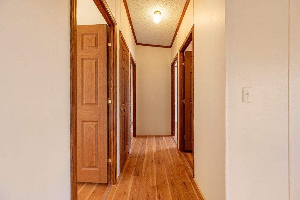 313 Lanter Road Speedwell, VA 24374 - Photo 31 of 55 Gallery Image 31