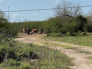 View of local wilderness and entrance of the property