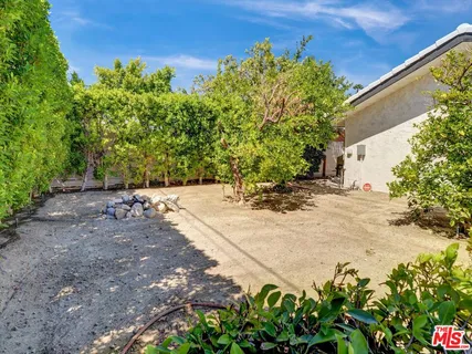 a view of a yard with potted plants