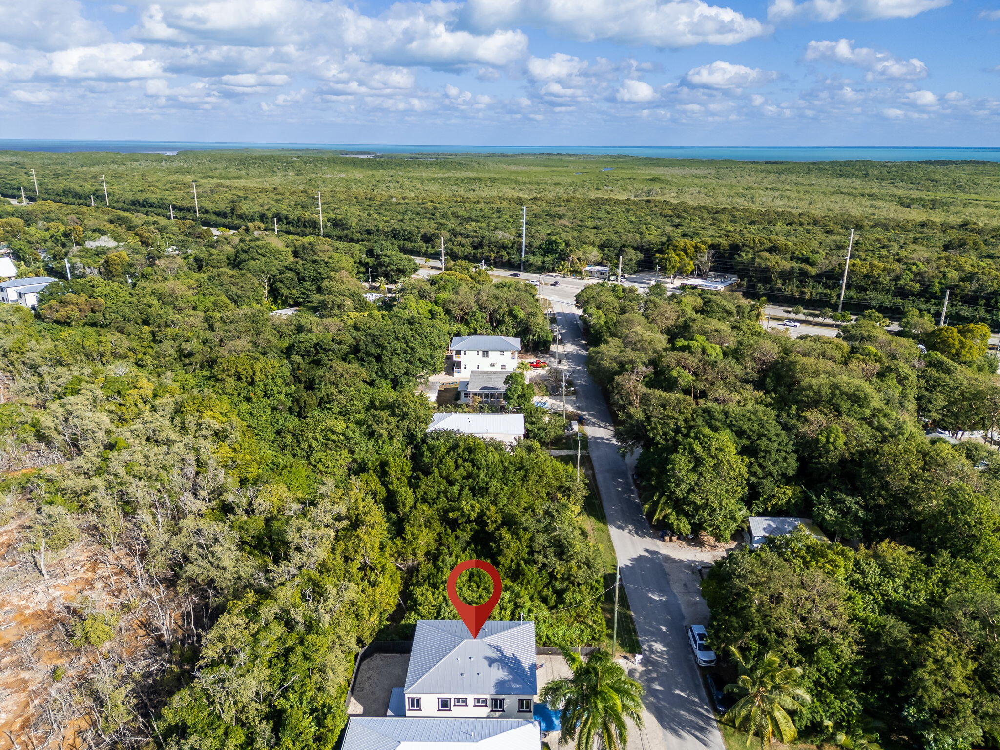 22 Tarpon Avenue Key Largo, FL 33037 - Photo 40 of 43 a view of a garden