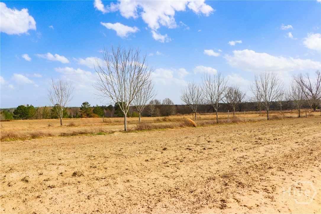 0 Tillman Eason Road Claxton, GA 30417 - Photo 17 of 28