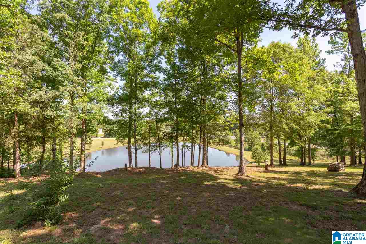 6674 Highway 431 Heflin, AL 36264 - Photo 39 of 50