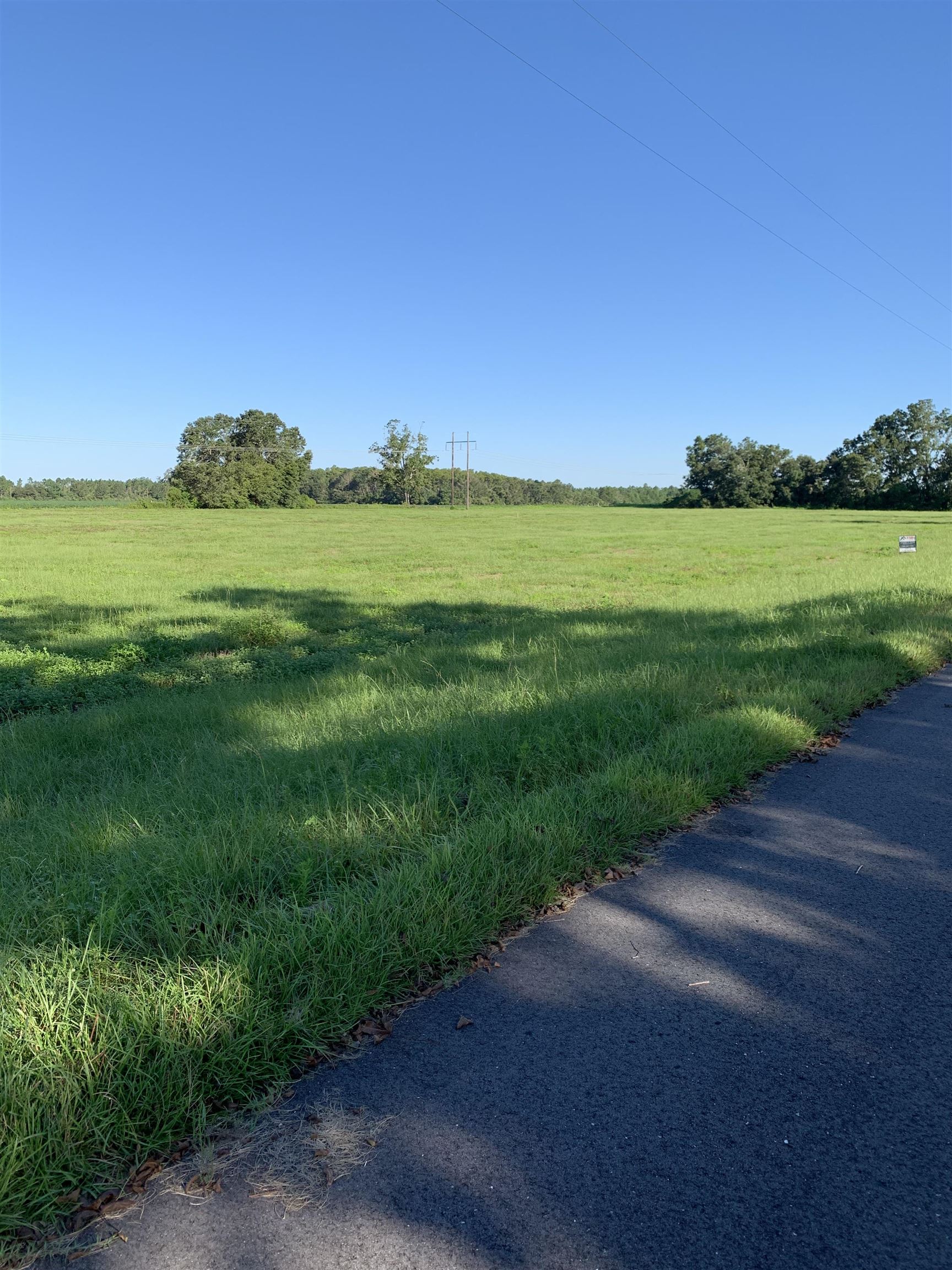 Lot 10 Gopher Court Elberta, AL 36530 - Photo 3 of 3