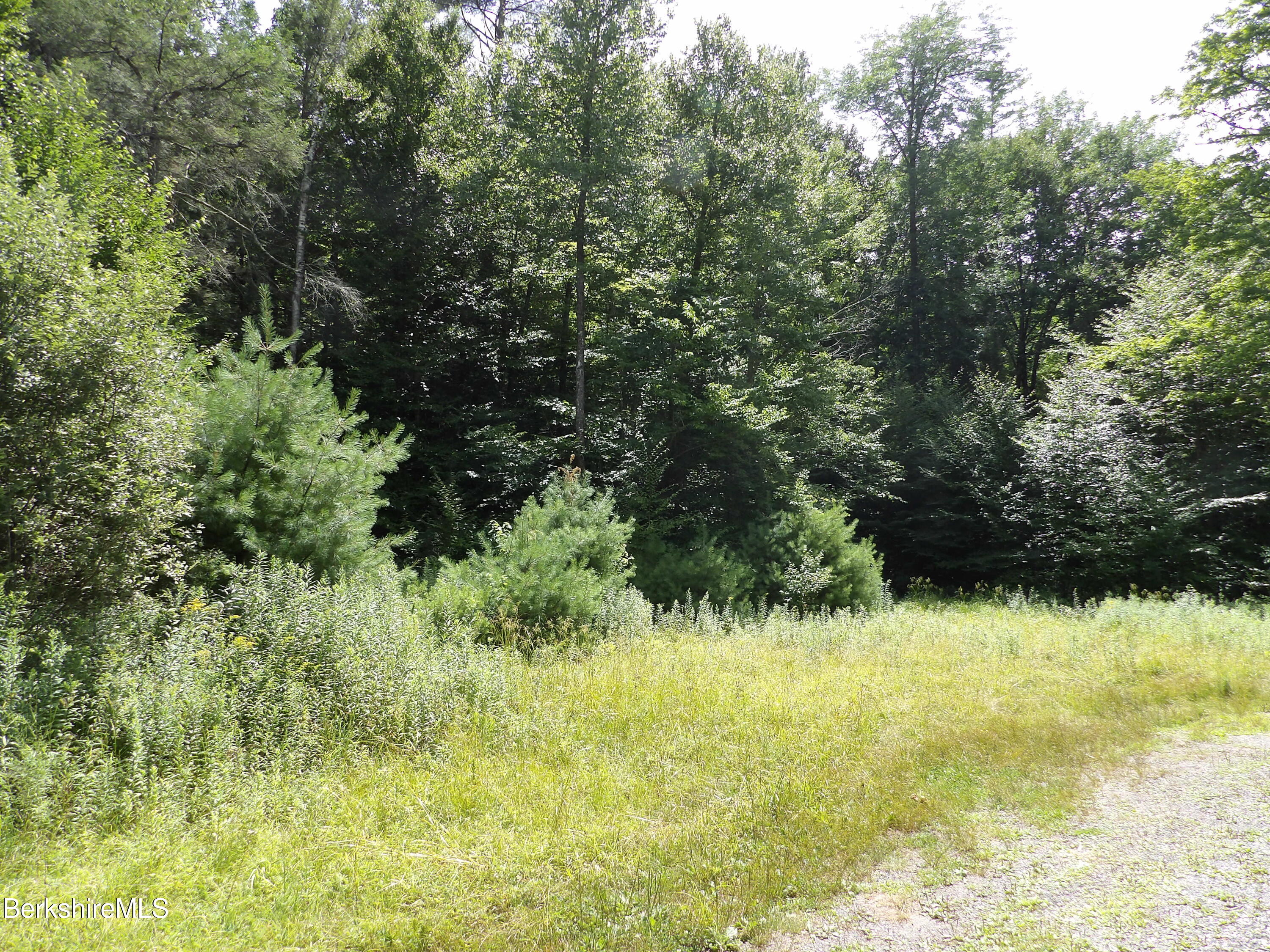 Avery Brook Road Charlemont, MA 01346 - Photo 13 of 19 ABRUpperLL