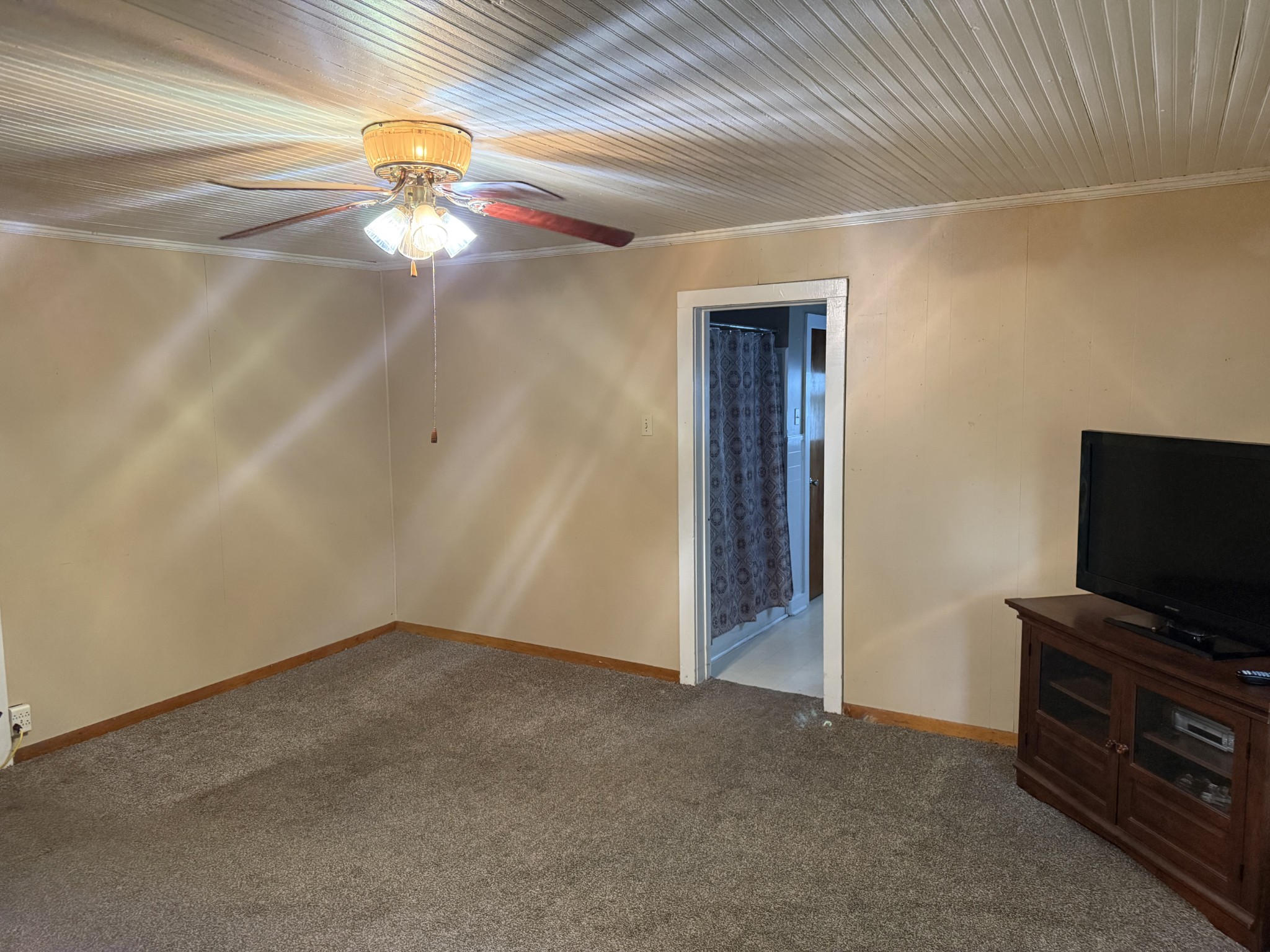 328 Young Branch Road Dixon Springs, TN 37057 - Photo 9 of 30