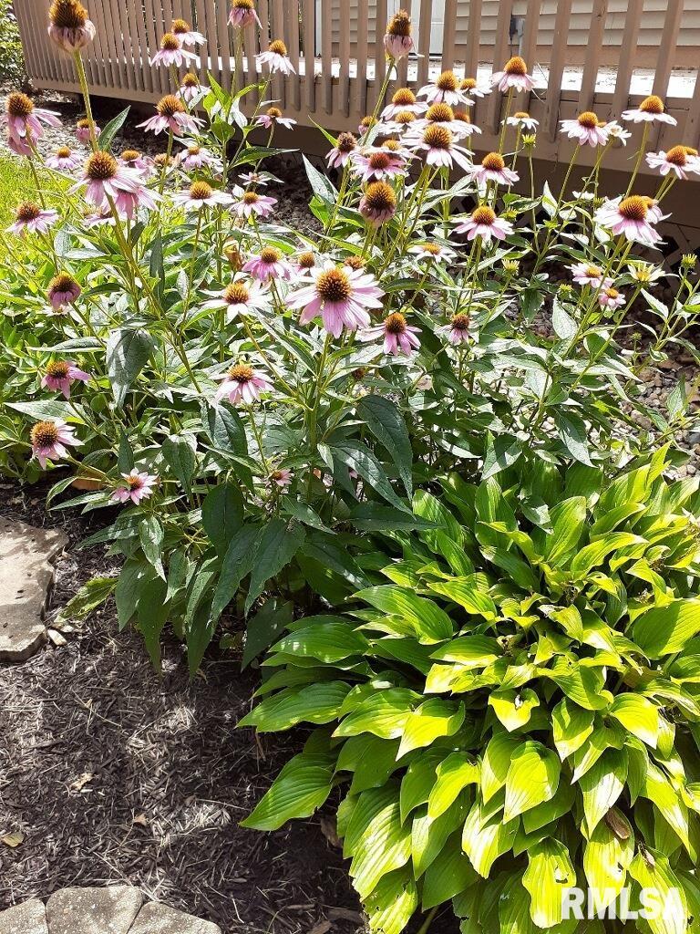 454 8th Street Lincoln, IL 62656 - Photo 45 of 50