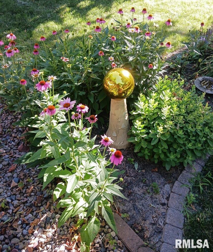 454 8th Street Lincoln, IL 62656 - Photo 47 of 50