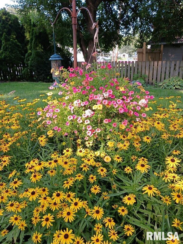 454 8th Street Lincoln, IL 62656 - Photo 48 of 50