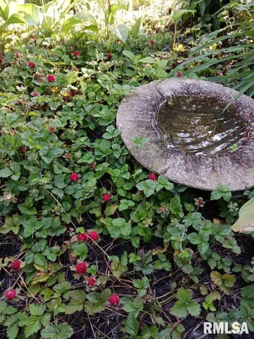 $189,000 | 454 8th Street, Lincoln, IL 62656