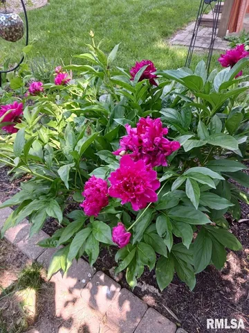 $189,000 | 454 8th Street, Lincoln, IL 62656