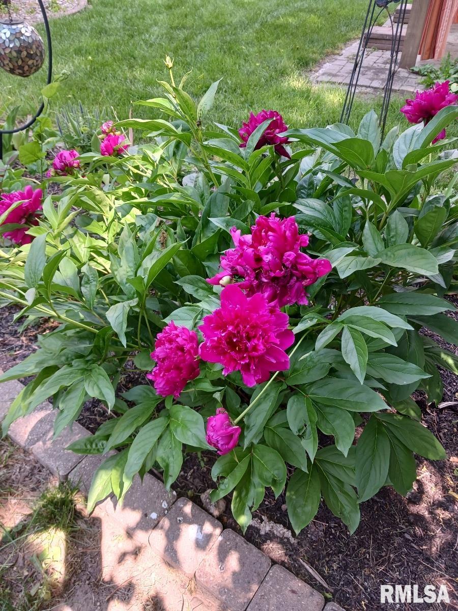 454 8th Street Lincoln, IL 62656 - Photo 50 of 50