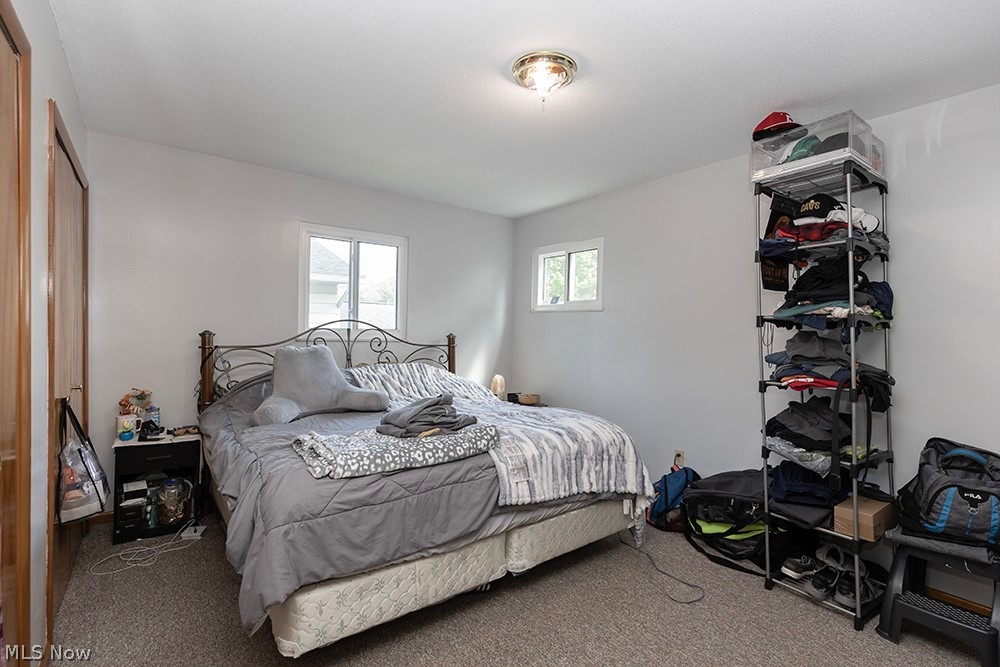 762 Abbe Road North Elyria, OH 44035 - Photo 27 of 30 Carpeted room with a ceiling-mounted light fixture, two windows, and two wood-finish bifold closet doors