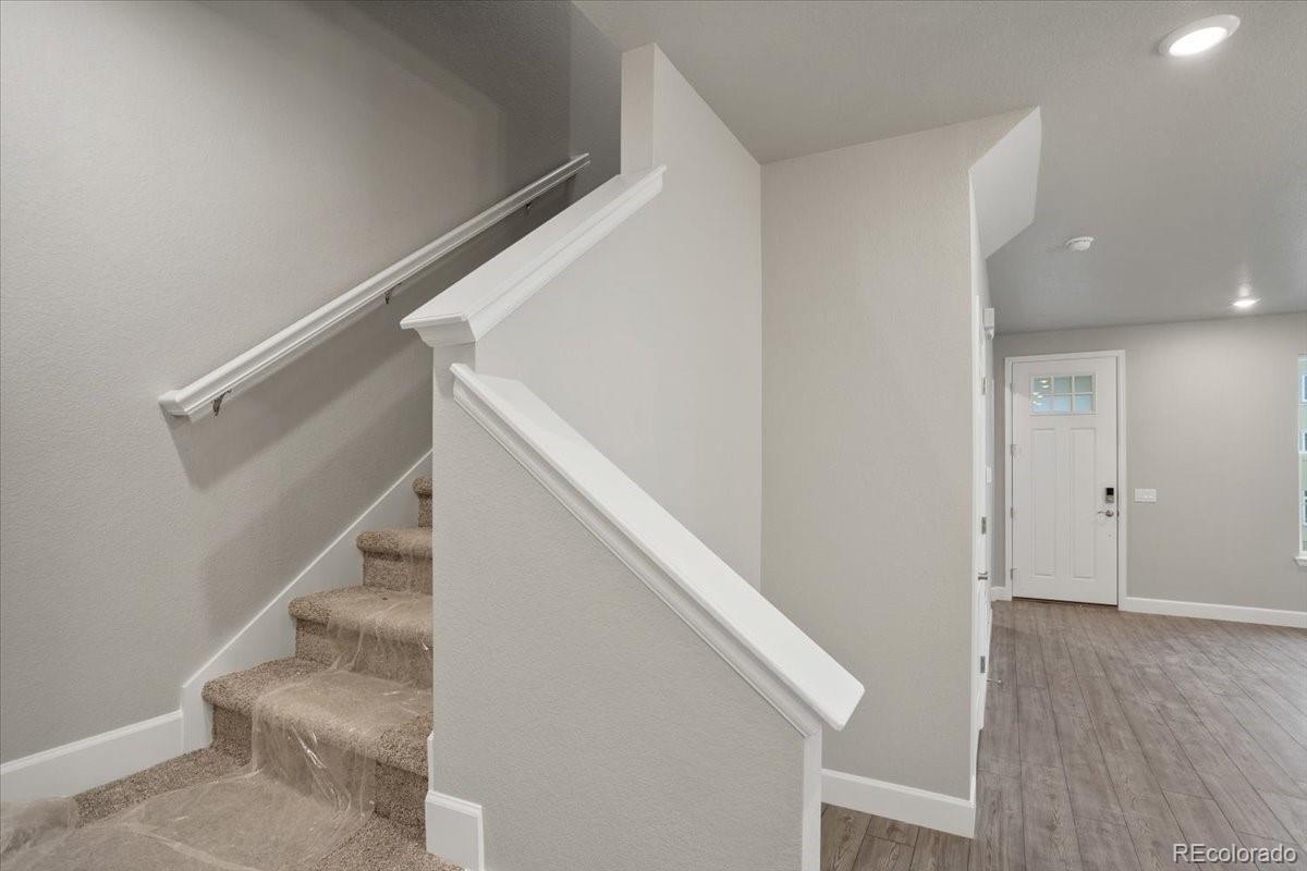 8346 Mount Ouray Road Littleton, CO 80125 - Photo 19 of 38 Gallery Image 19
