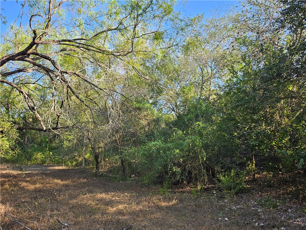 24024 441st Circle Mathis, TX 78368 - Photo 51 of 57 Gallery Image 51