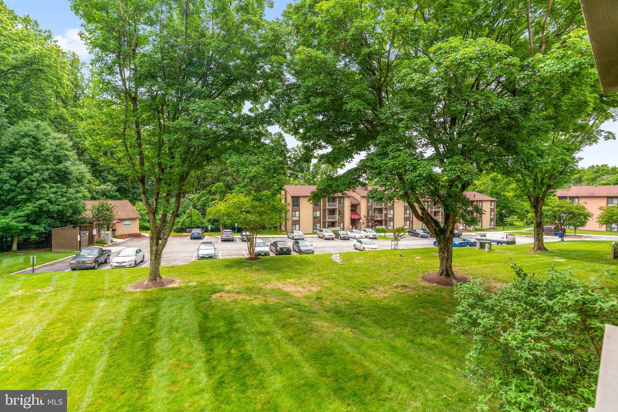 5907 Tamar Drive, Unit 7 R7 Columbia, MD 21045 - Photo 15 of 23 a view of swimming pool with lawn chairs and large trees