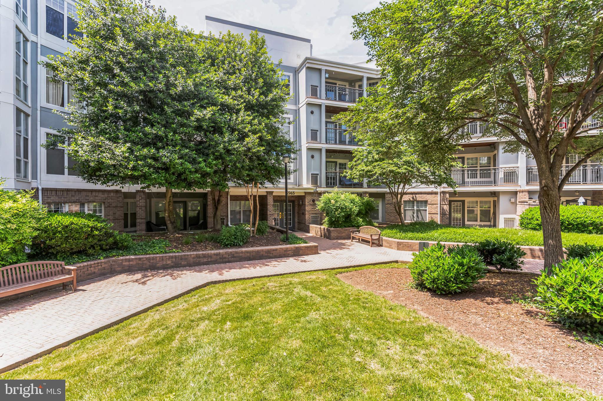 5565 Seminary Road, Unit 409 Falls Church, VA 22041 - Photo 1 of 26