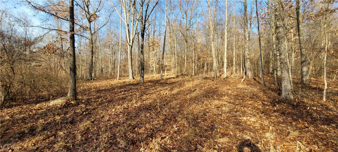 399 Township Road Coshocton, OH 43812 - Photo 37 of 50