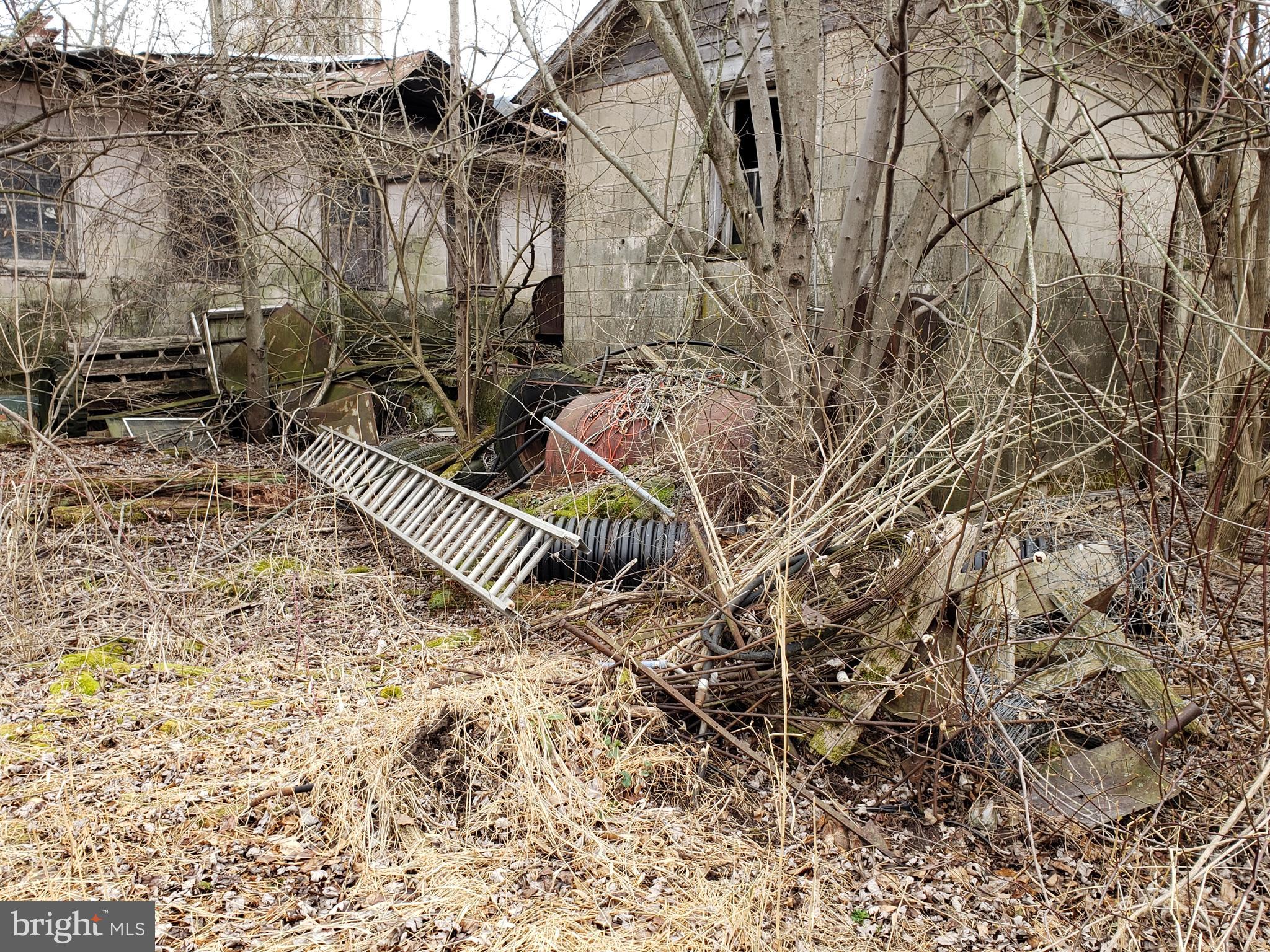 10653 Stull Road Frederick, MD 21702 - Photo 4 of 5 Typical scene showing clean up needed