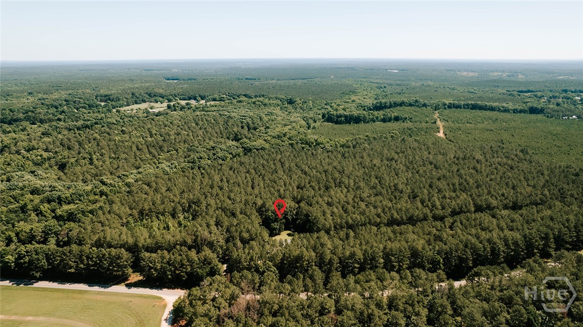252 Sandy Cross Road Lexington, GA 30648 - Photo 49 of 51