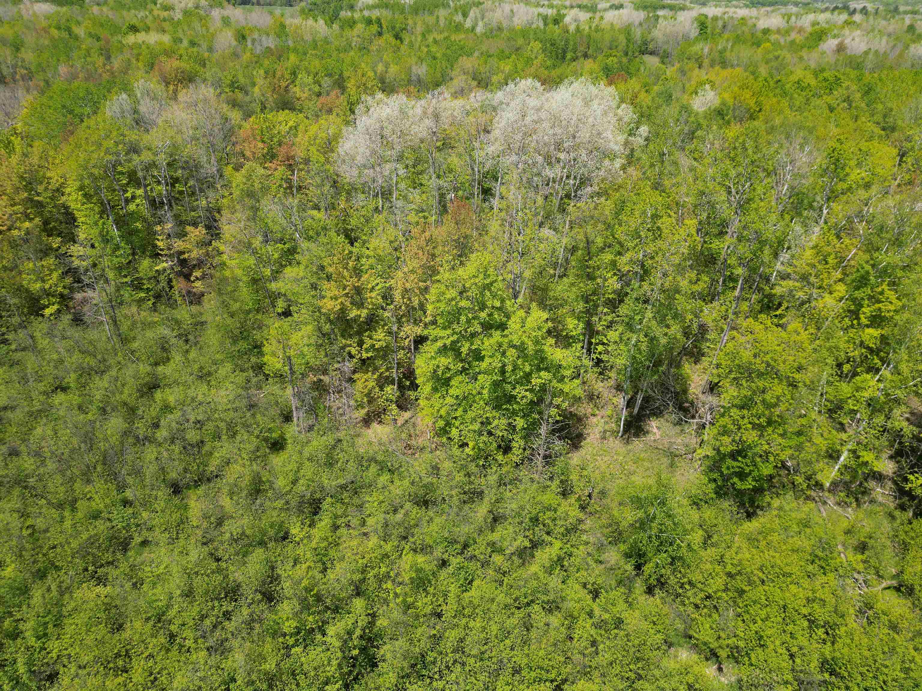 19 Mile Road Kingsley, MI 49649 - Photo 20 of 30