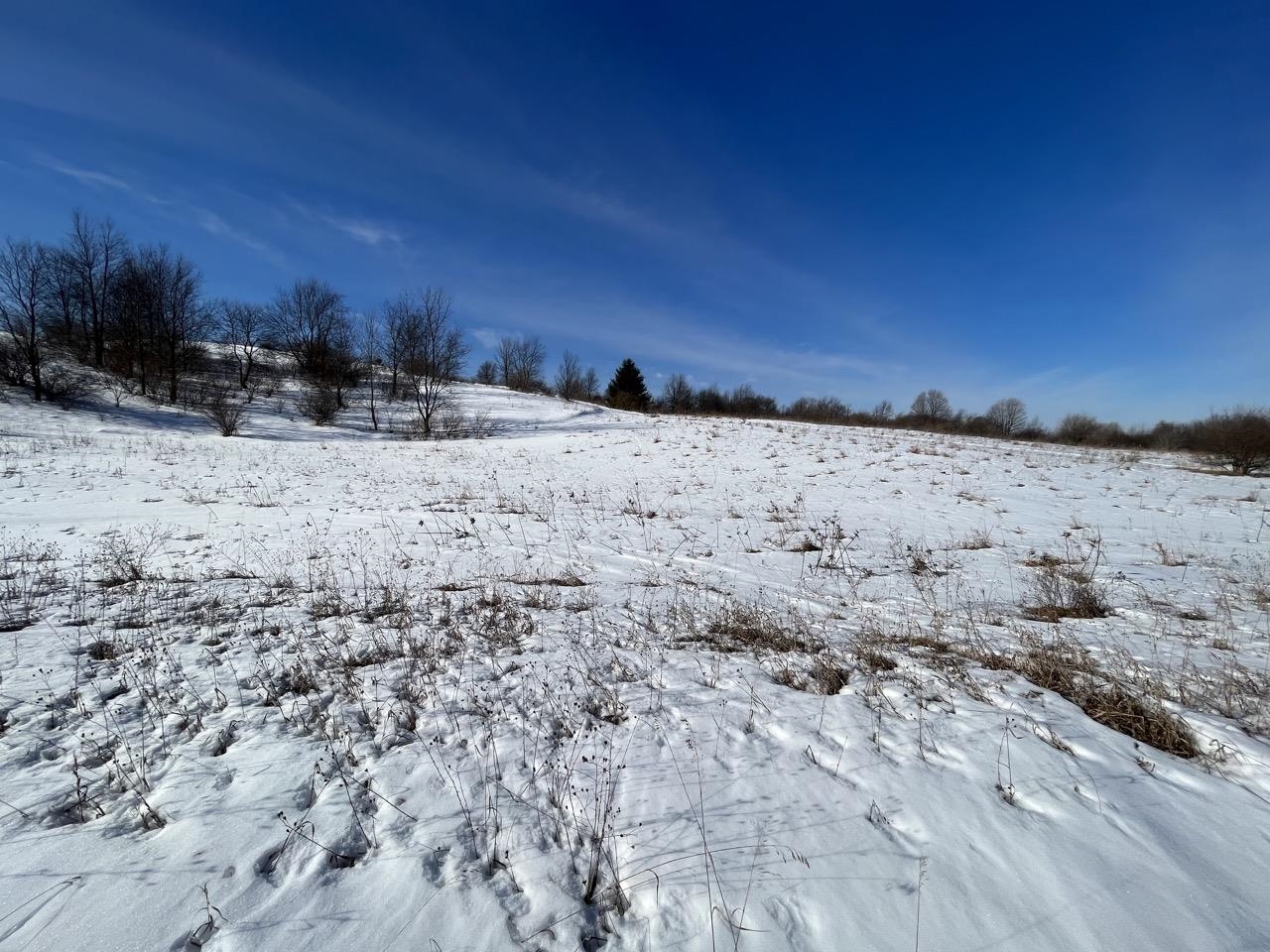Parcel N Florey's Ranch Road, Unit LOT: N Grawn, MI 49637 - Photo 10 of 10