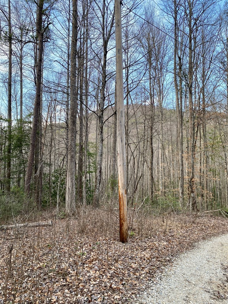 0 Carringer Road Robbinsville, NC 28771 - Photo 4 of 7