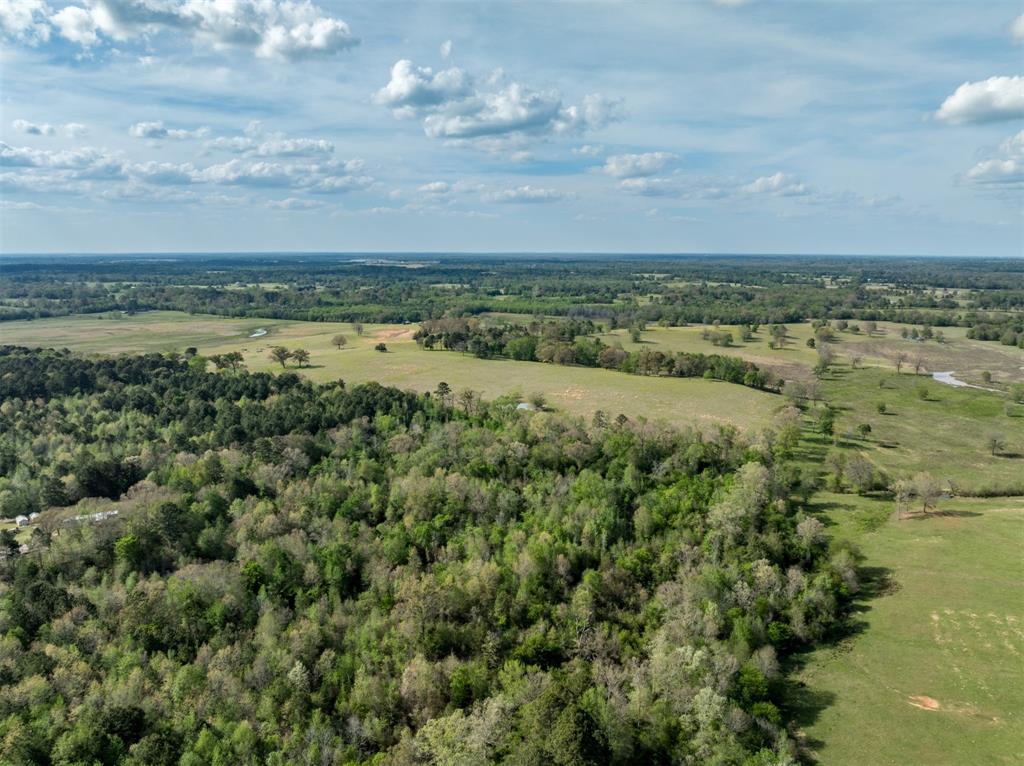 0 White Tail Road Gilmer, TX 75644 - Photo 5 of 11