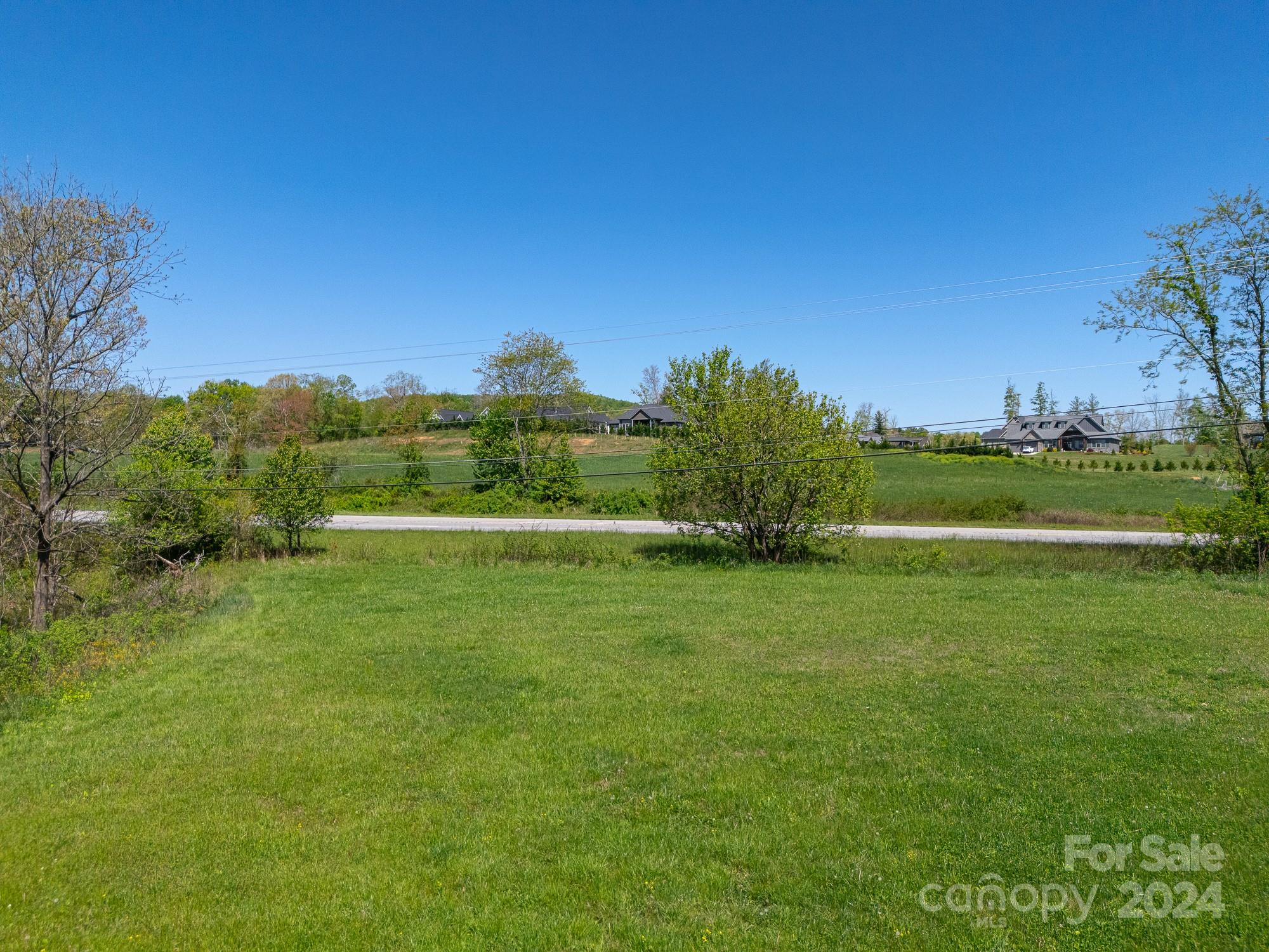 320 Turnpike Road Mills River, NC 28759 - Photo 3 of 5 a view of a grassy field with trees