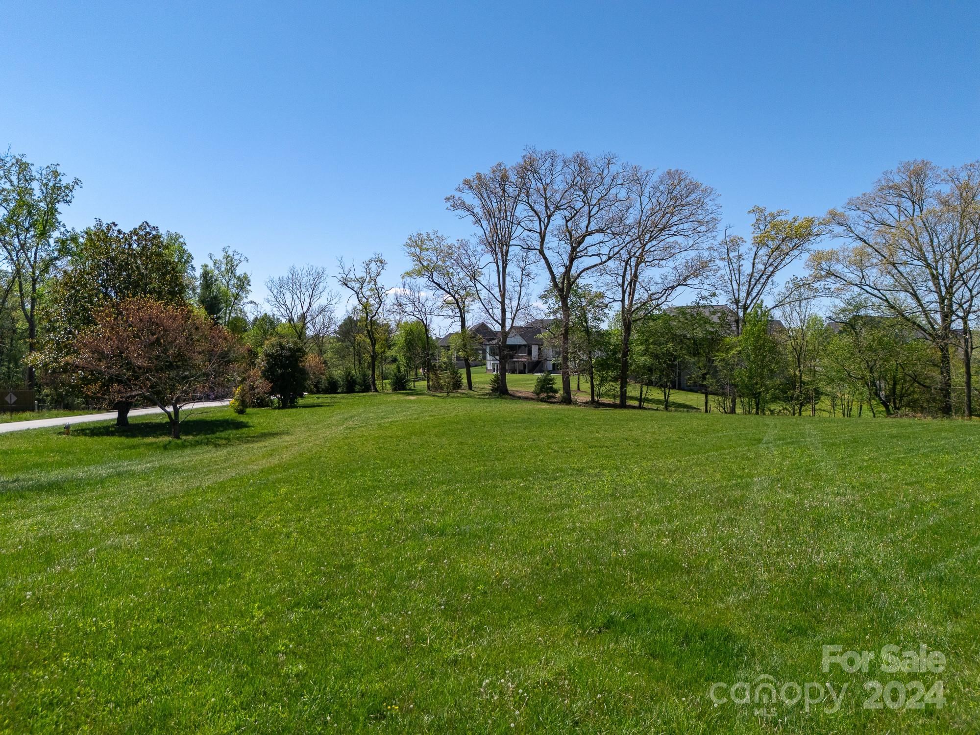 320 Turnpike Road Mills River, NC 28759 - Photo 5 of 5 a view of a park with large trees