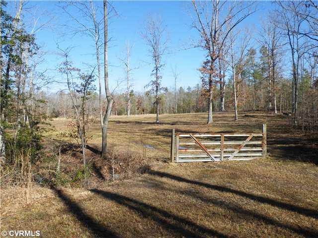 17410 Duval Road Moseley, VA 23120 - Photo 3 of 12 Land/Lot
