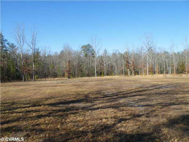 17410 Duval Road Moseley, VA 23120 - Photo 4 of 12 Land/Lot
