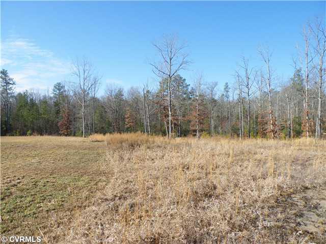 17410 Duval Road Moseley, VA 23120 - Photo 5 of 12 Land/Lot