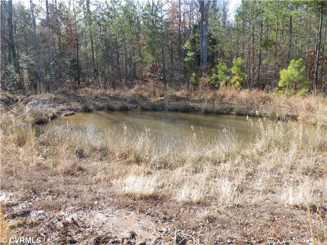 17410 Duval Road Moseley, VA 23120 - Photo 7 of 12 Land/Lot