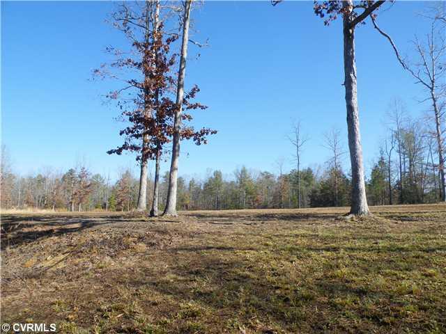 17410 Duval Road Moseley, VA 23120 - Photo 8 of 12 Land/Lot