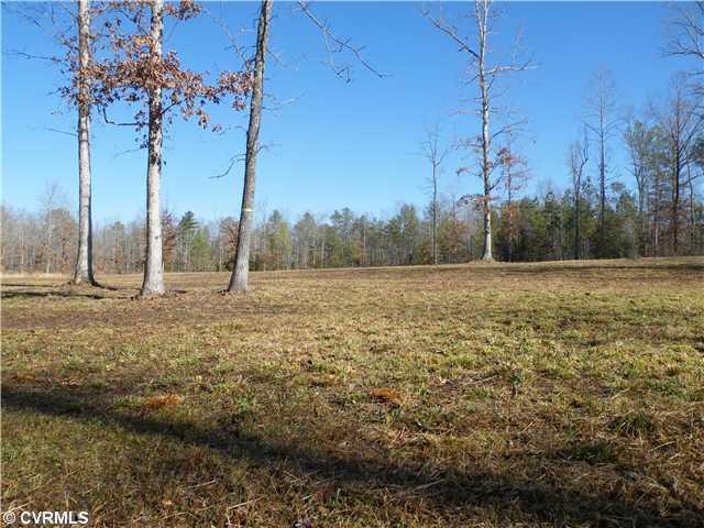 17410 Duval Road Moseley, VA 23120 - Photo 9 of 12 Land/Lot